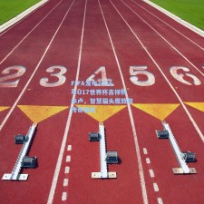 FIFA发布2025年U17世界杯吉祥物米卢，智慧猫头鹰致敬传奇教练