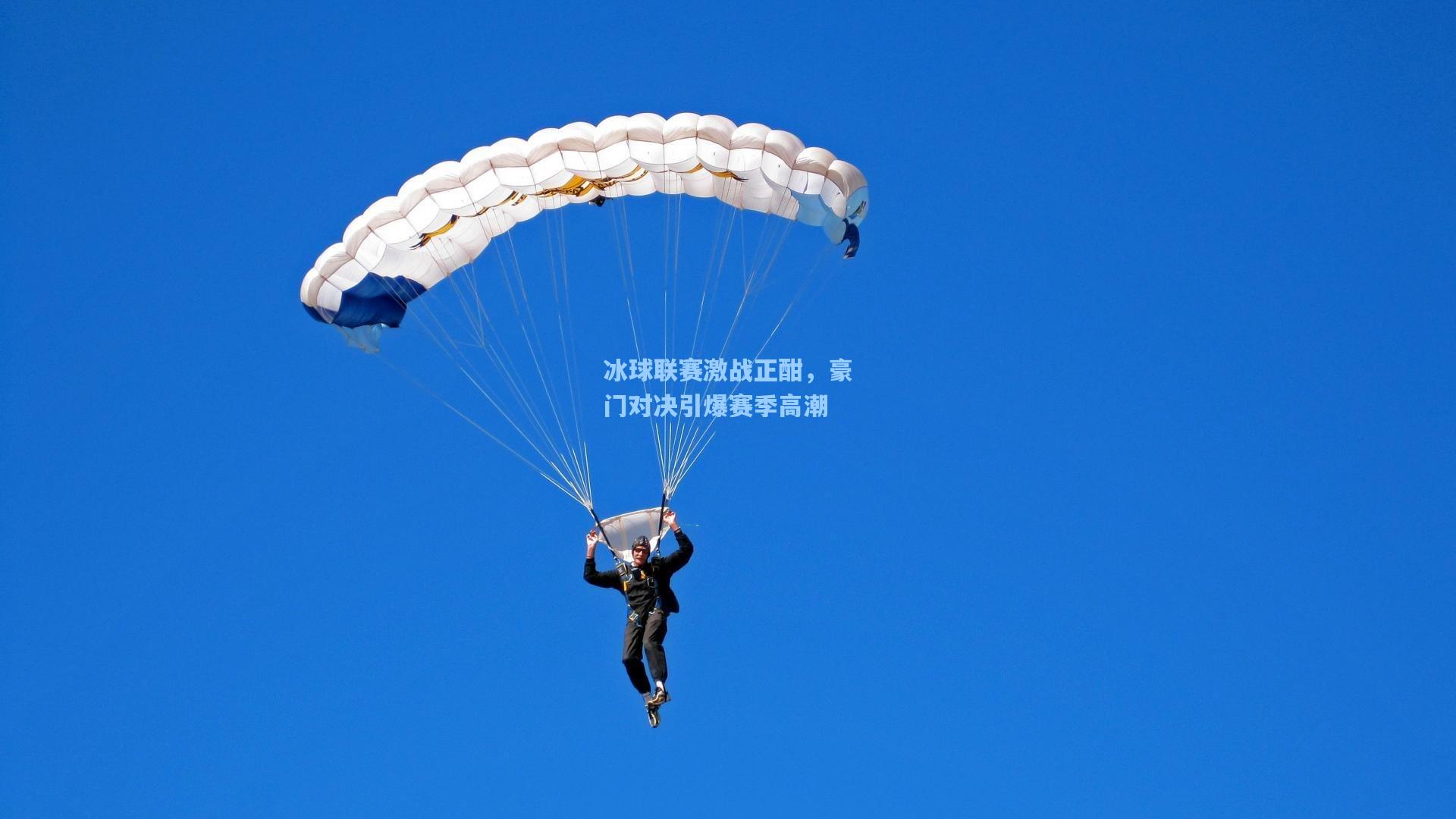 冰球联赛激战正酣，豪门对决引爆赛季高潮  第1张