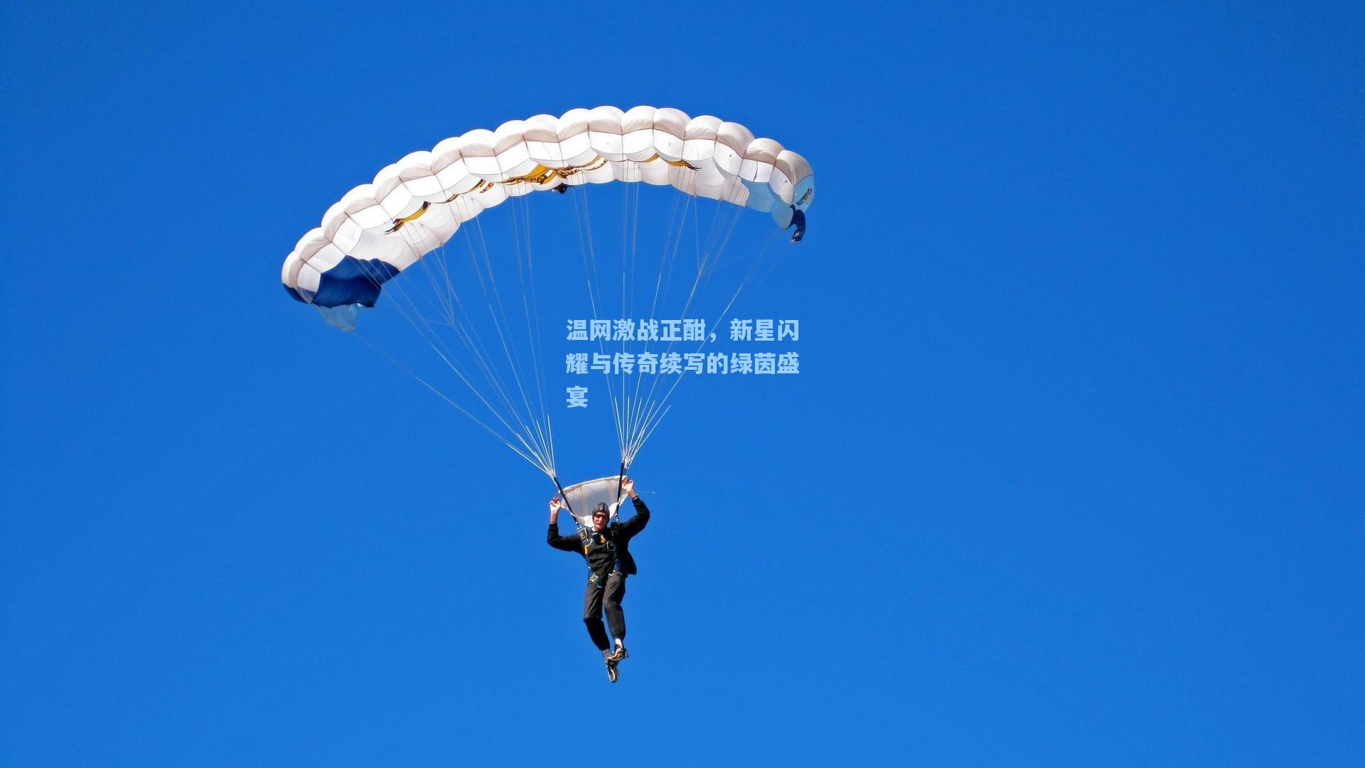 温网激战正酣，新星闪耀与传奇续写的绿茵盛宴  第1张